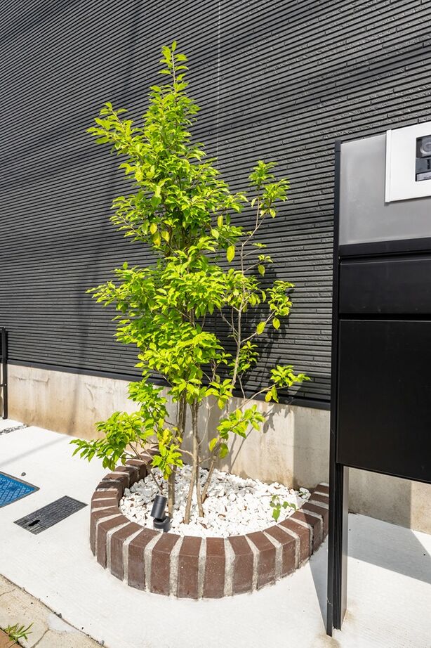 MD studio. 建築士とつくる家 【ペット/23坪/間取り図/狭小地】玄関兼用の広々土間と吹抜け設計が、愛犬と開放的に暮らす毎日を実現の建築実例画像20