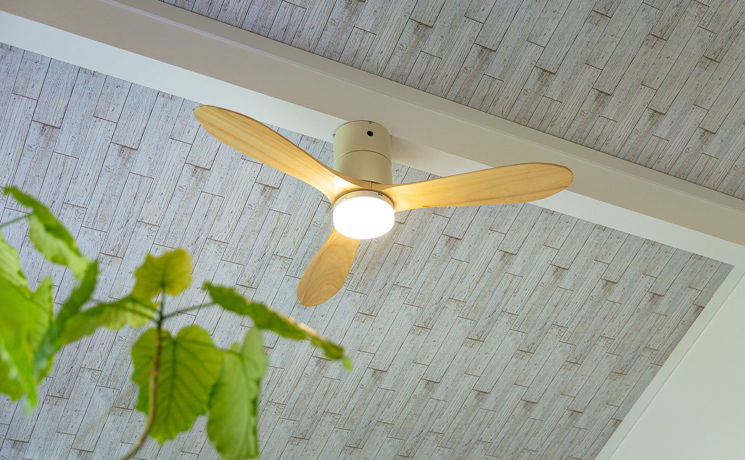  デザインハウス・エフ 【1000万円台/20坪台/平屋/間取り図】爽やかなブルーが印象的。ナチュラルテイストのアメリカンハウスの建築実例画像16