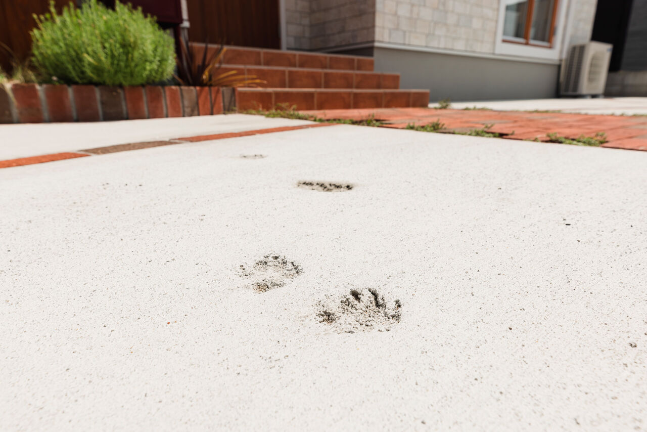  デザインハウス・エフ 【2000万円台/42坪/大屋根】洗練の外観・無垢材・スムーズな家事動線、愛犬と暮らす北欧スタイルの家の建築実例画像10