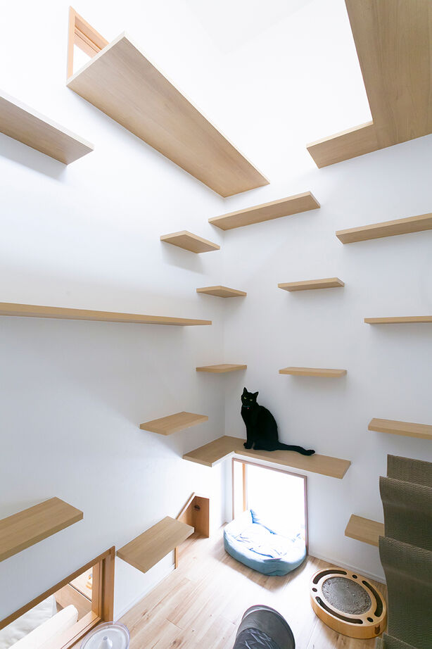 悠悠ホーム 【2500万円～2999万円で建てた家／約37坪／間取り図有】愛猫ファーストで、快適なおうち時間を叶えた住まいの建築実例画像2