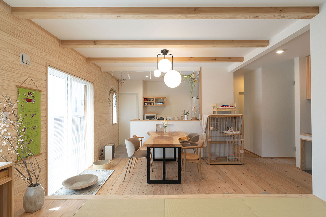 森のめぐみ工房 【1000万円台後半／平屋／間取り図有】猫ちゃんファースト！猫の自由と人の快適さを両立する、木の家の建築実例画像4