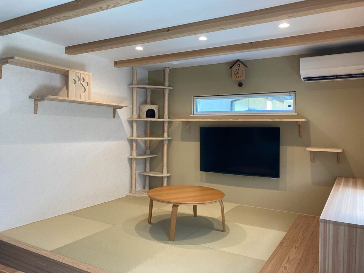 森のめぐみ工房 【1000万円台後半／平屋／間取り図有】猫ちゃんファースト！猫の自由と人の快適さを両立する、木の家の建築実例画像7