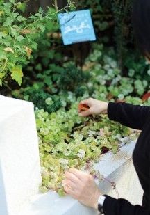 一級建築士事務所　和工務店 【全棟気密測定/世田谷区/40坪台/間取り】「家時間」の質を高めた、南リゾート風のおしゃれな住まいの建築実例画像7