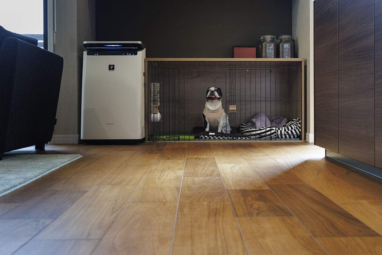 愛和住宅／クレバリーホーム 【安城市｜2000万円台｜コンパクトな平屋｜間取り有】面積を抑えてコストダウン。ウッドデッキは約30帖！の建築実例画像5