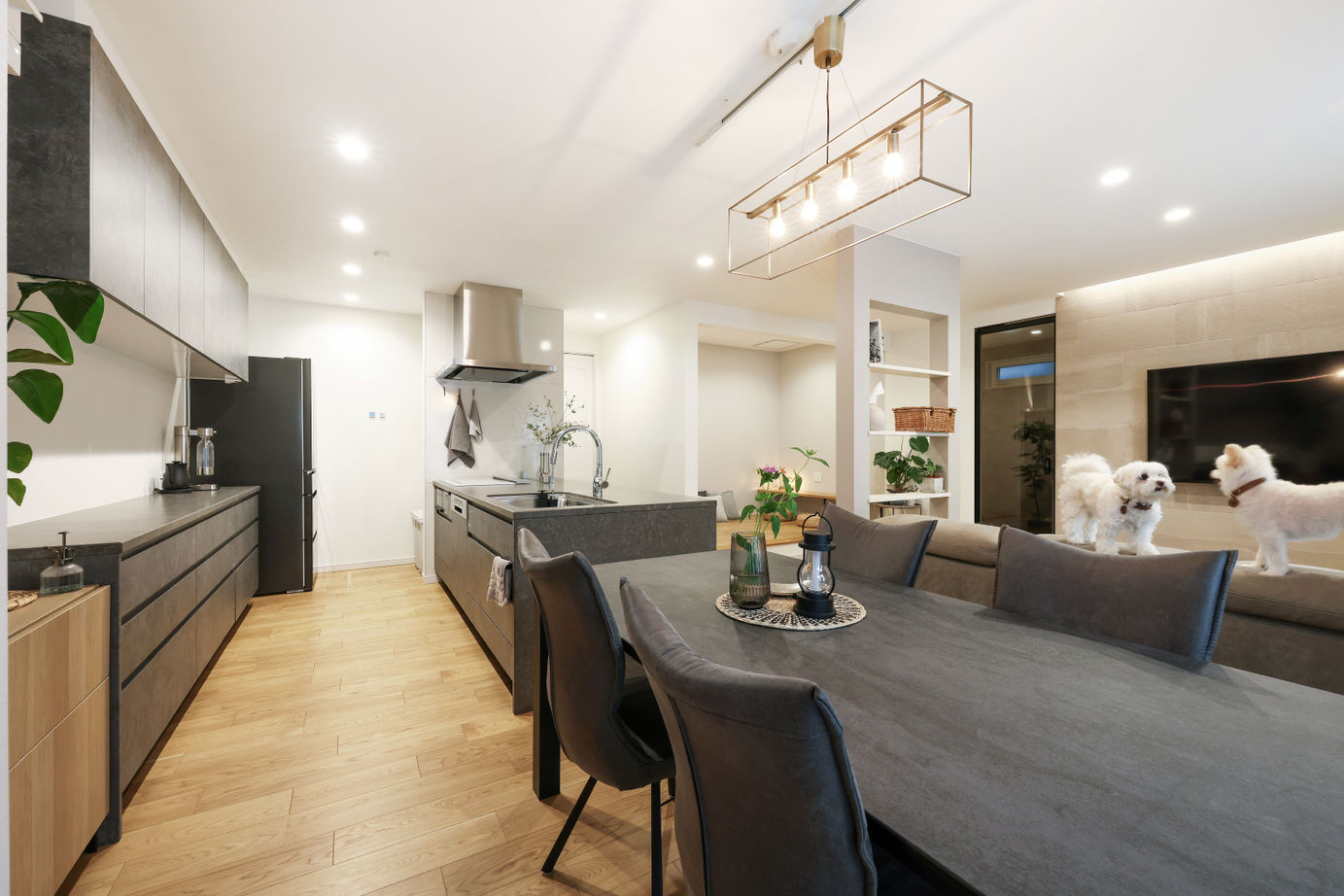 「完全フル装備の家」富士住建 【家事ラク動線/収納充実/ペット/間取り図有】人とペットが心地よく過ごせるフル装備の家の建築実例画像2