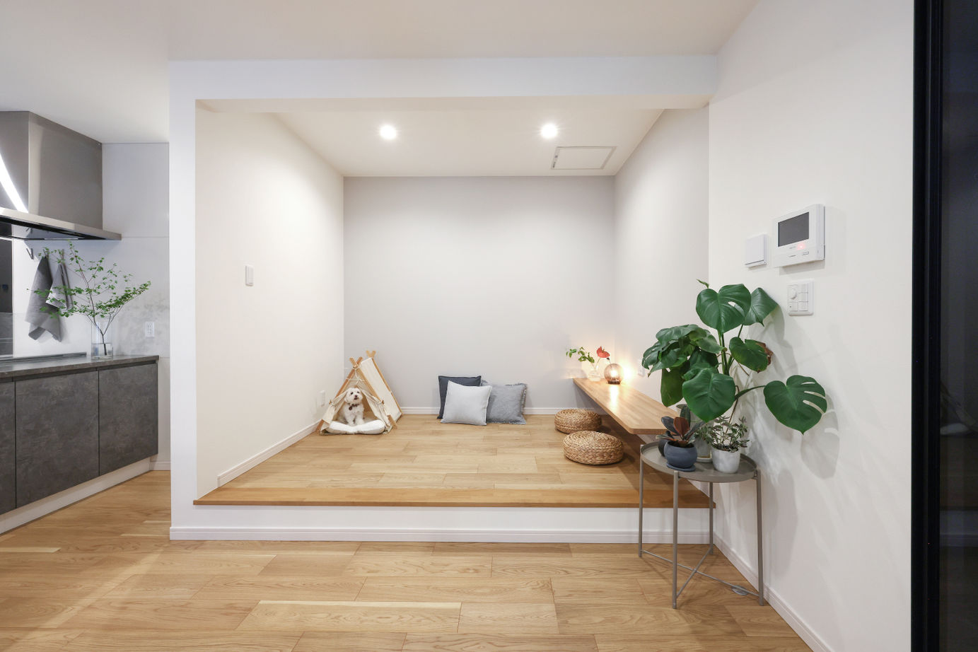 「完全フル装備の家」富士住建 【家事ラク動線/収納充実/ペット/間取り図有】人とペットが心地よく過ごせるフル装備の家の建築実例画像5