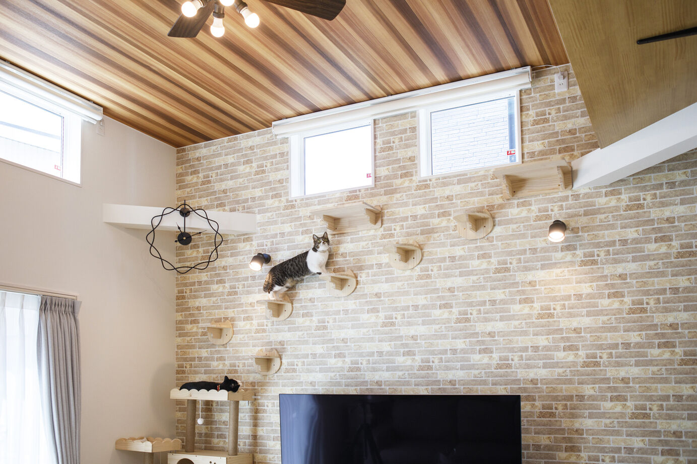 「完全フル装備の家」富士住建 【ペット/子育て/間取り図有】愛猫家夫婦が子どもと猫のために選んだフル装備住宅の建築実例画像3