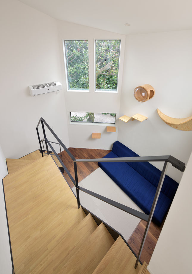 ハウステックス 【2000万円台|20坪台|間取り|2階建て】楽しさと光に満ちたスキップフロアの家。陽だまりの空間で家族団らんの建築実例画像10