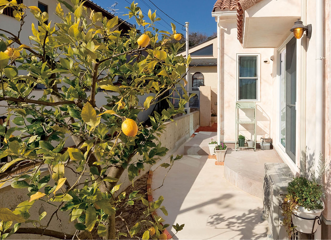 フレンチ工房 【2000万円台後半/宝塚市】太陽の光と青空、緑が映える　少しずつ味を深めるフレンチの平屋の建築実例画像4