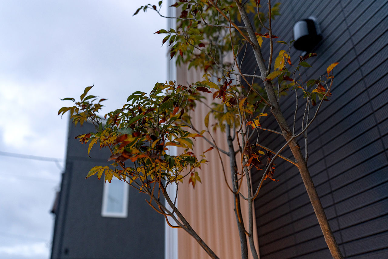 アオバクラフト 【1000万円台／間取図有／2LDK+書斎】2階リビング＋ルーフバルコニーで開放的に暮らすおしゃれな家の建築実例画像8