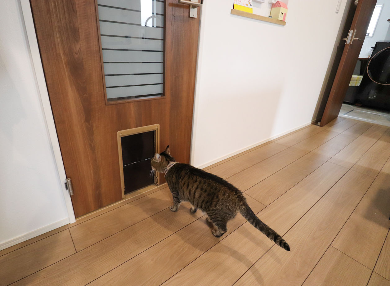 いえとち本舗 【1000万円台/山口市/3LDK/35坪】こだわりの空間がある家の建築実例画像7