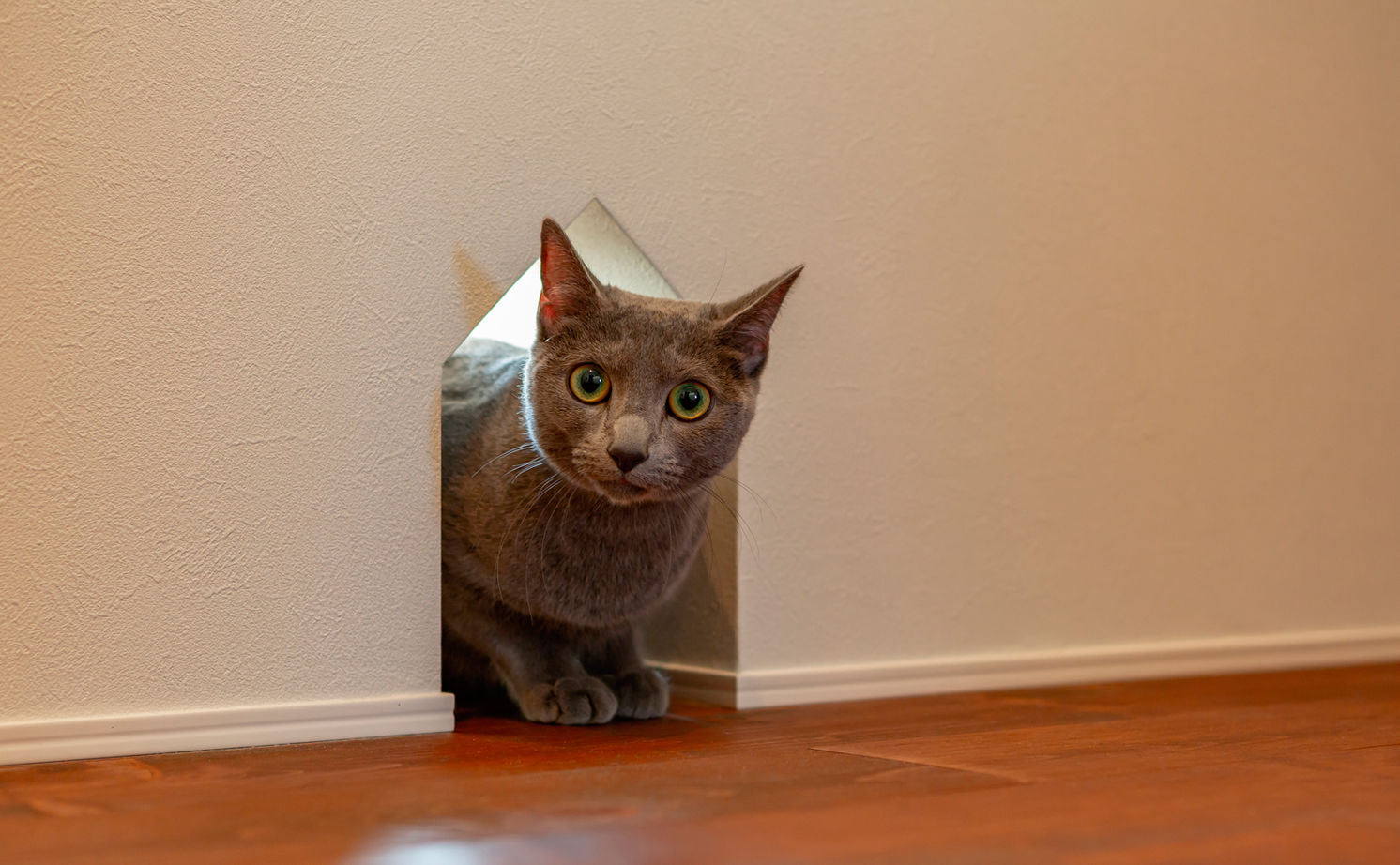 シャルドネホーム 【3000万円台/2階建て/3LDK/30坪台/間取り図】キャットウォークのある無垢材×タイルの大人かわいい家の建築実例画像6