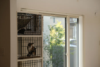 北王 【コの字型キッチンがある家】吹き抜けのリビング。各所からこだわりや想いが滲み出るの建築実例画像4