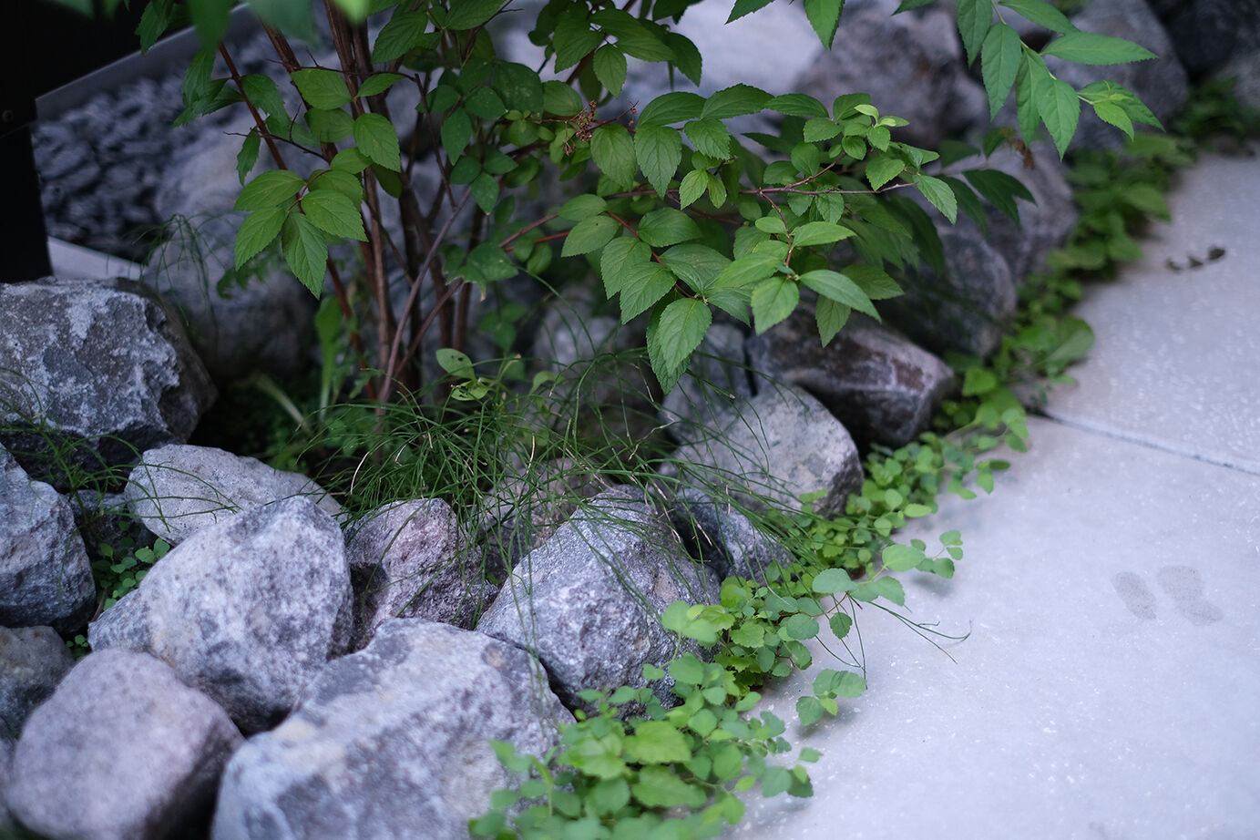 北王 【縁側で和む、中庭のある家】＊間取図あり＊めぐる季節と穏やかに、ふたりの時間を楽しむの建築実例画像12