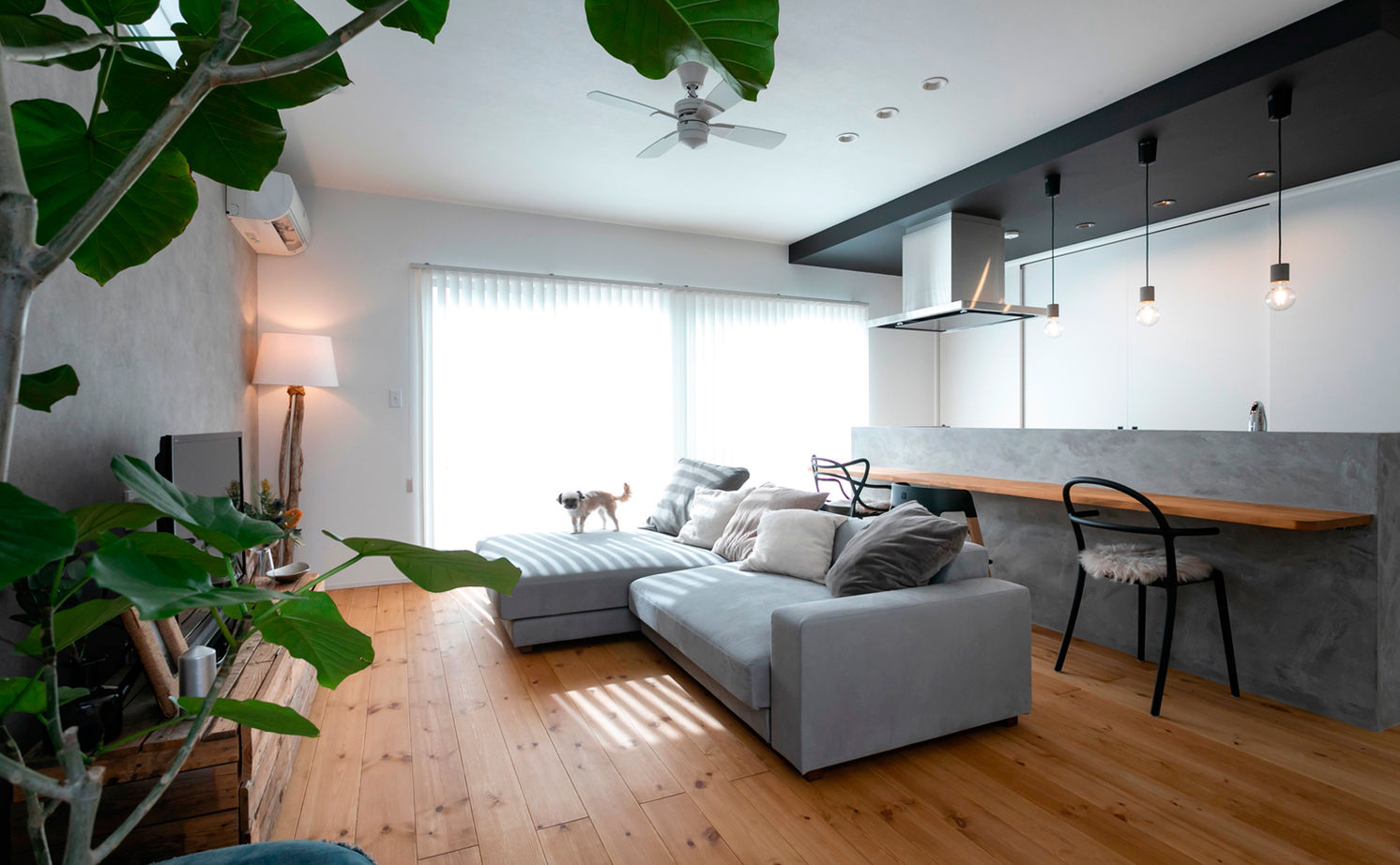 いい家つくる。善匠 【30坪未満｜中庭｜間取り有】中庭が見える玄関からLDKはワンフロアな間取り「開放感が気に入っています」の建築実例画像2