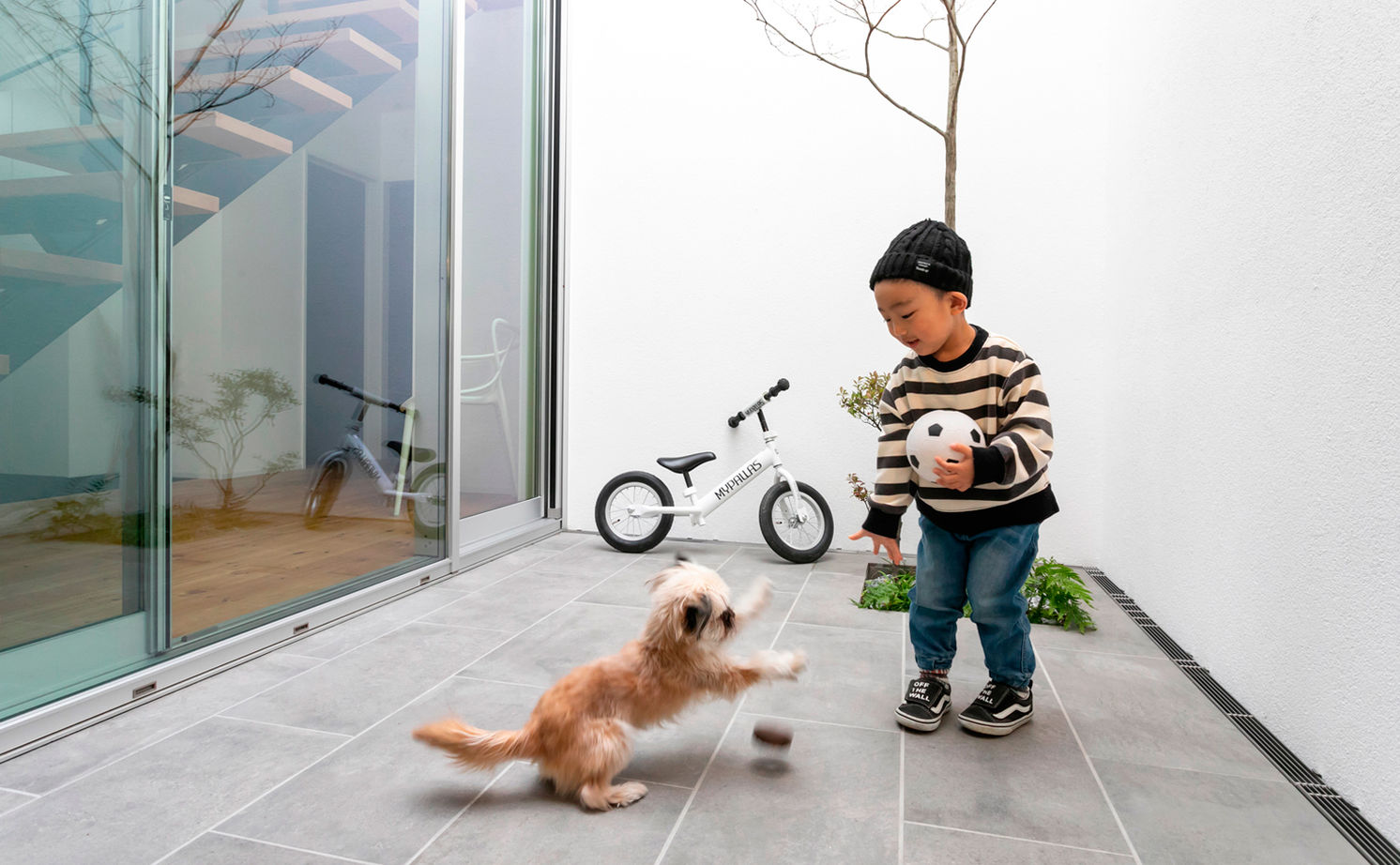 いい家つくる。善匠 【30坪未満｜中庭｜間取り有】中庭が見える玄関からLDKはワンフロアな間取り「開放感が気に入っています」の建築実例画像8