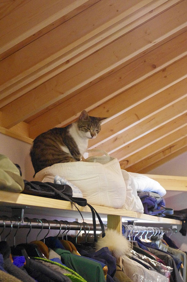 BAUHOUSE -住まい設計工房バウハウス- 【ガレージ/土間/平屋風/35坪/間取り図】薪ストーブ1台で床暖房なしで過ごせる子育ての住まいの建築実例画像8