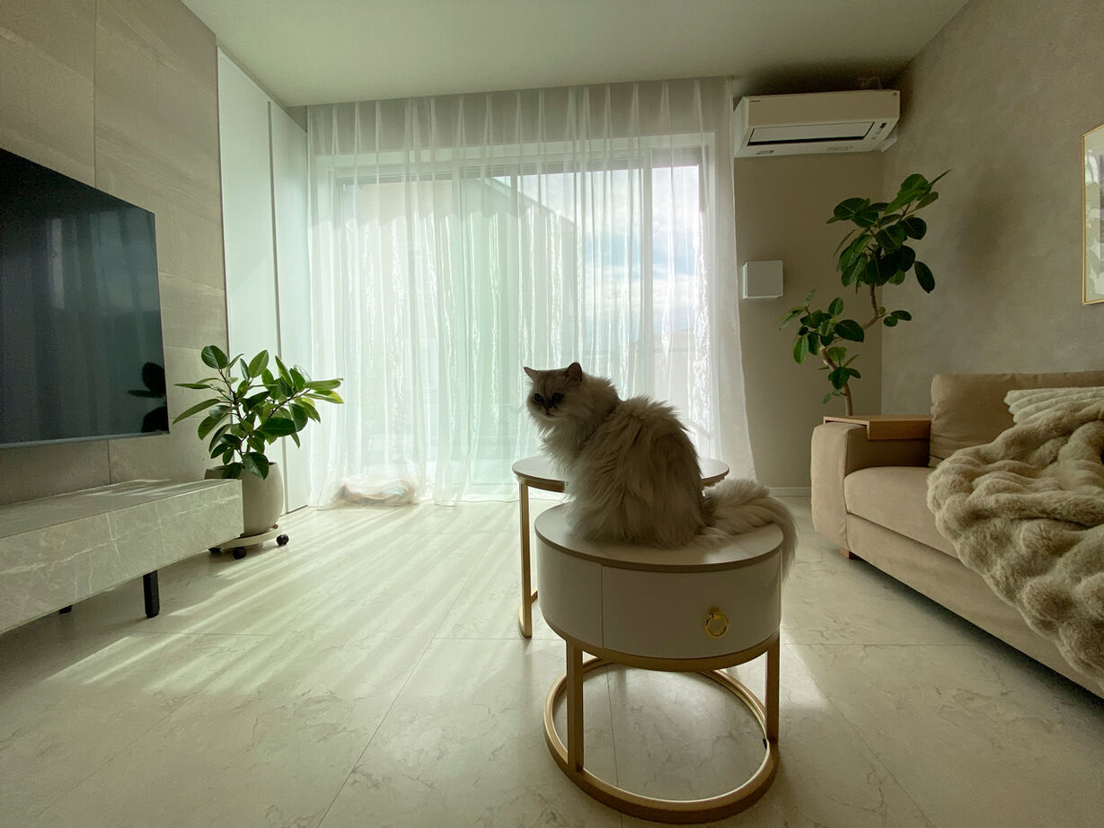 一級建築士事務所　タイセーハウジング 【神奈川県海老名市／間取り図】こだわりを全て叶えた、猫と暮らすホテルライクな家の建築実例画像1