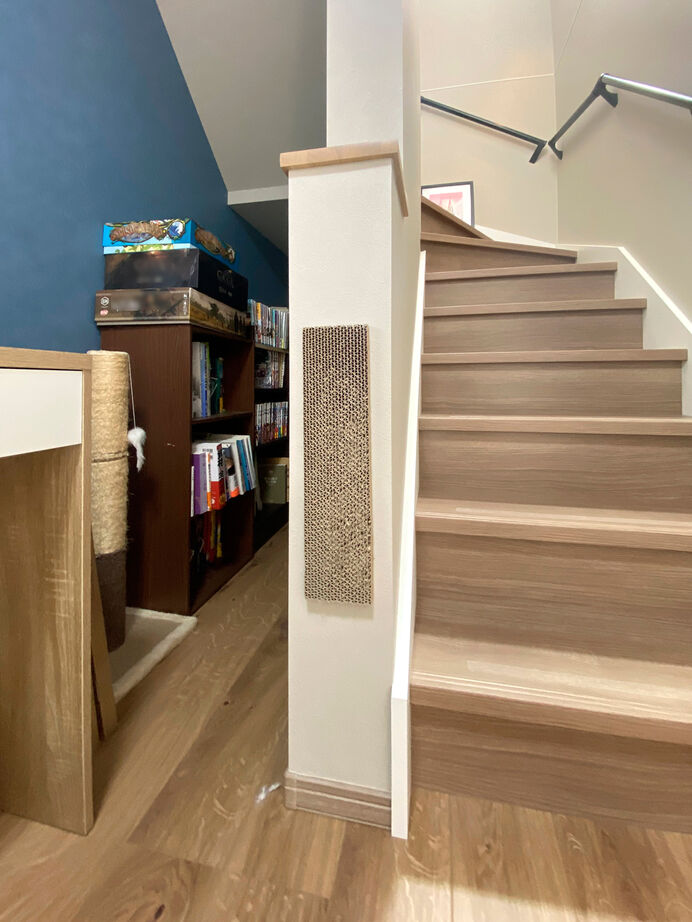 一級建築士事務所　タイセーハウジング 【神奈川県海老名市／間取り図】こだわりを全て叶えた、猫と暮らすホテルライクな家の建築実例画像8