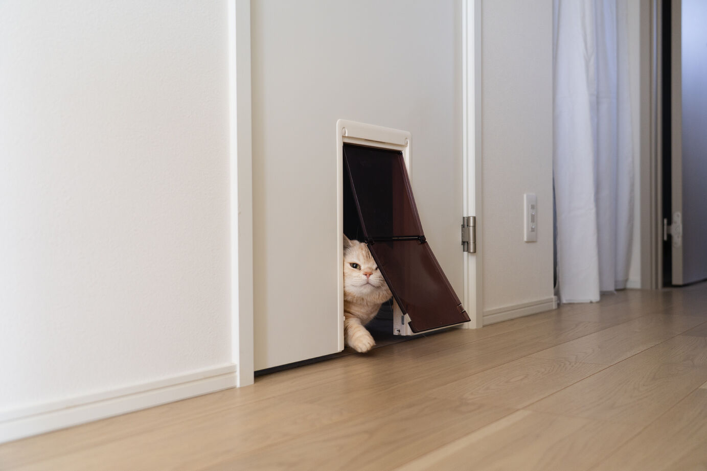 木下工務店 【2階建て/吹抜け/29坪】開放的な吹抜け空間に、四角い空を切り取る家の建築実例画像12