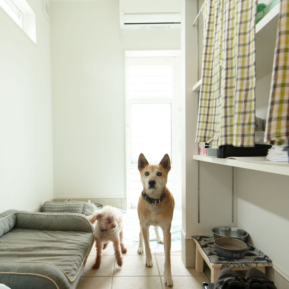 アルルホームズ 【2000～2500万円】犬と猫と一緒に暮らす ペットファーストの平屋の建築実例画像2