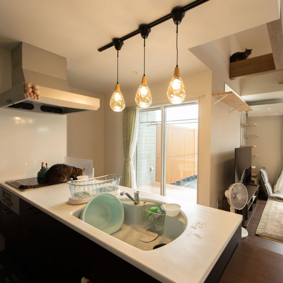 アルルホームズ 【2000～2500万円】犬と猫と一緒に暮らす ペットファーストの平屋の建築実例画像6