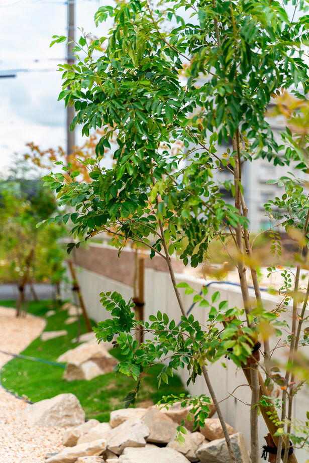 サブライムホーム（SUBLIME HOME） 【本体価格2050万円/間取図あり】自然の力を活かすパッシブデザイン。停電・断水にも備えられる家の建築実例画像20