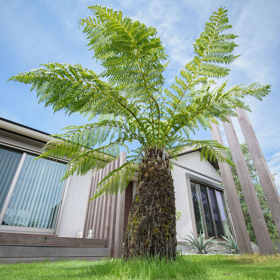 セキスイハイム 共働き夫婦の家事と子育てをスムーズに。インテリアも動線もこだわった、庭とつながり、家族とつながる平屋の建築実例画像14