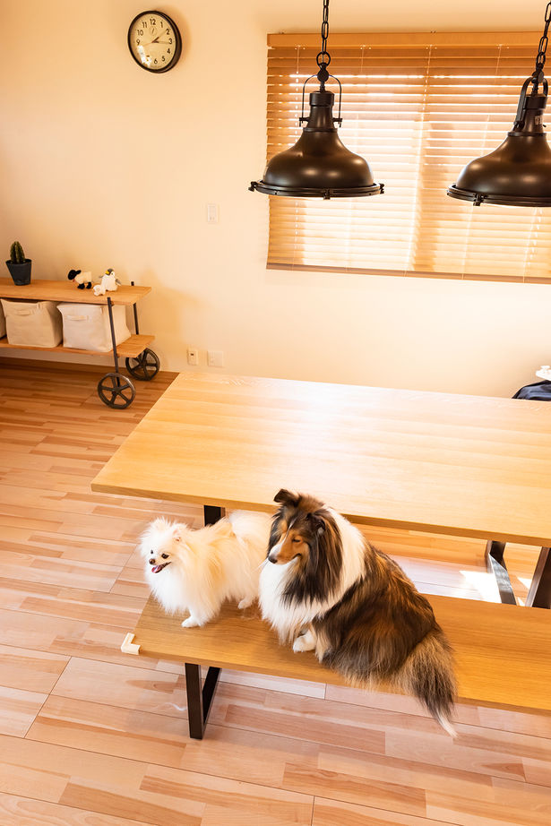 セキスイハイム 【39.4坪/夫婦＋子ども2人＋愛犬2匹】子育て、愛犬との暮らしを楽しめる、スタイリッシュな住まいの建築実例画像4