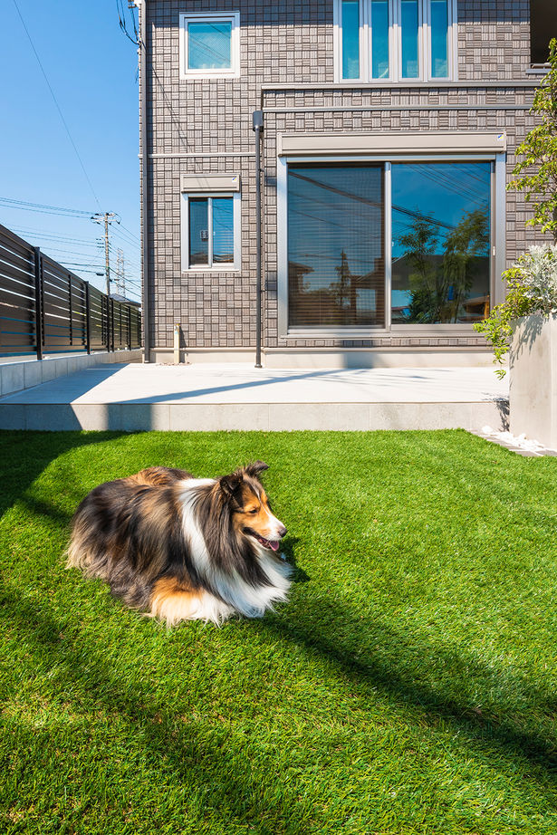 セキスイハイム 【39.4坪/夫婦＋子ども2人＋愛犬2匹】子育て、愛犬との暮らしを楽しめる、スタイリッシュな住まいの建築実例画像17