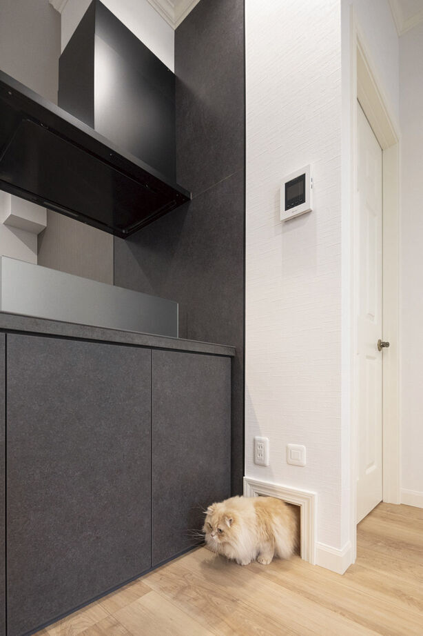 ロビンスジャパン 【1740万円/間取図/サーファーズ/平屋】カバードポーチでBBQランチも楽しい！将来は永住したい海近別荘の建築実例画像7