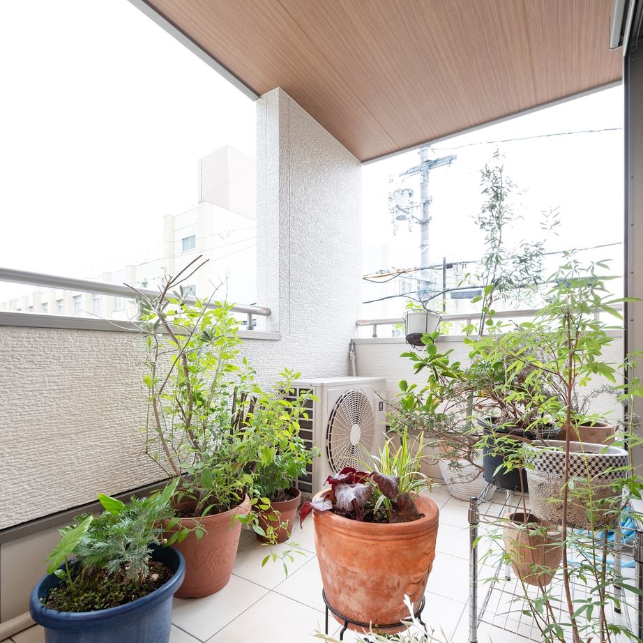 USホーム 大阪市内の約19坪、間口4.6メートルの敷地に無垢いっぱいの3階建ての家。スケルトン階段で視線が伸びやかにの建築実例画像5