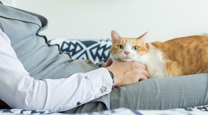 パパまるハウス 外出中もしっかり室温管理。人もペットも快適に暮らす「癒し」の住まいの建築実例画像2