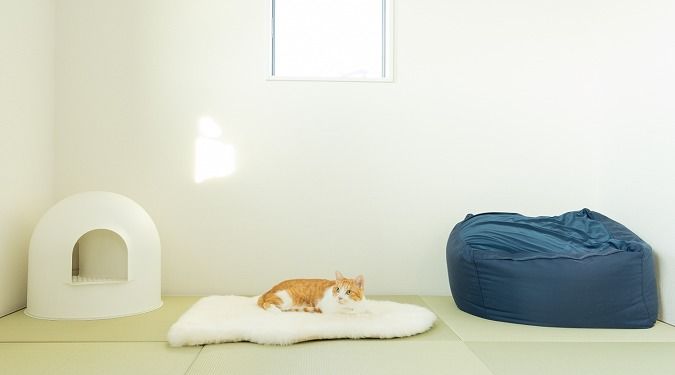 パパまるハウス 外出中もしっかり室温管理。人もペットも快適に暮らす「癒し」の住まいの建築実例画像4