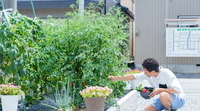 パパまるハウス 家族の繋がりを感じるくつろぎの家の建築実例画像6