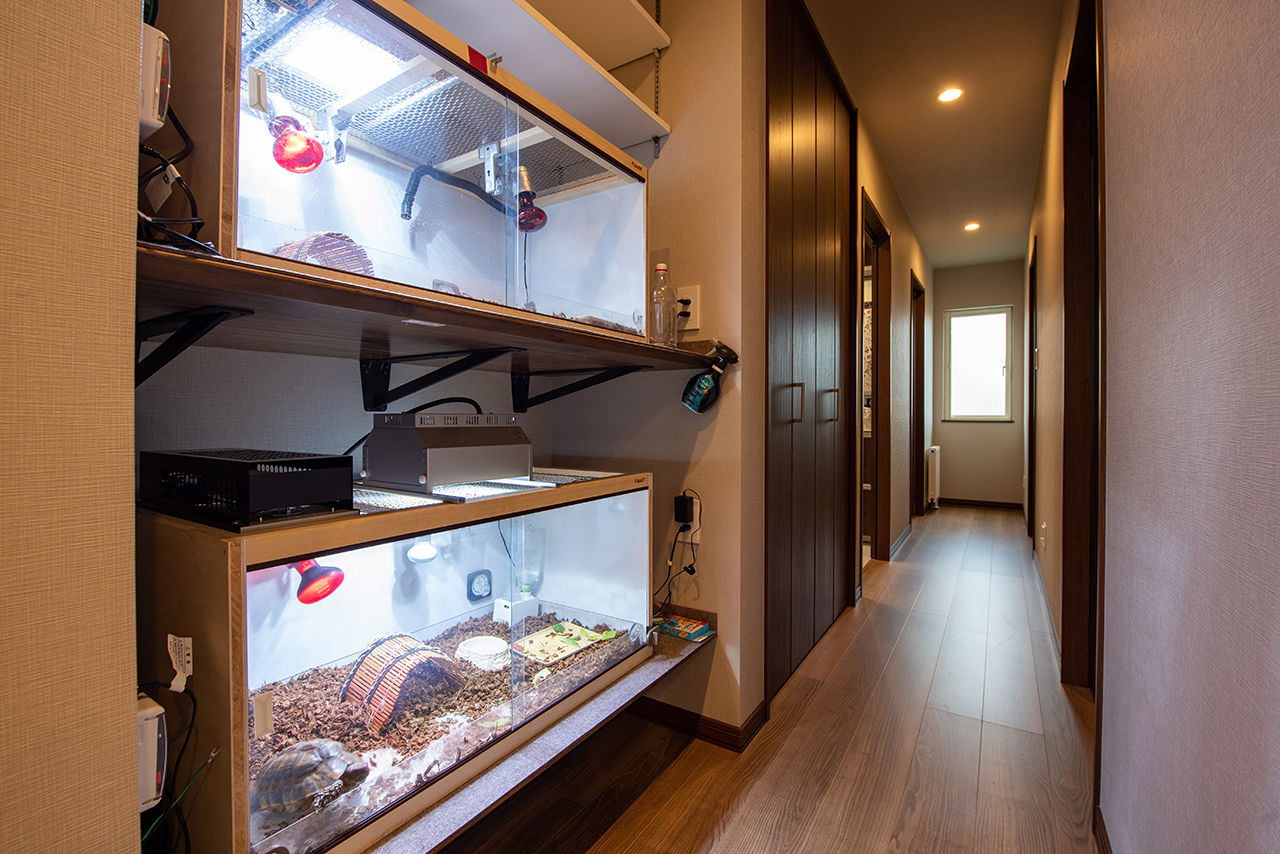 シロクマホーム 【平屋/夫婦＋カメ/32坪】将来の暮らしやすさを考えた、夫婦ふたりの平屋。床はフラット、ドアは引き戸にの建築実例画像5