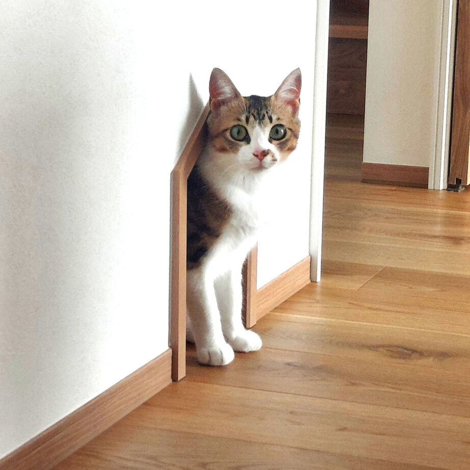 １００年住宅のゼロホーム 2000万円台・寝屋川市｜HEAT20 G1グレードで24時間換気。猫と楽しく快適に暮らせる家｜間取り有の建築実例画像6