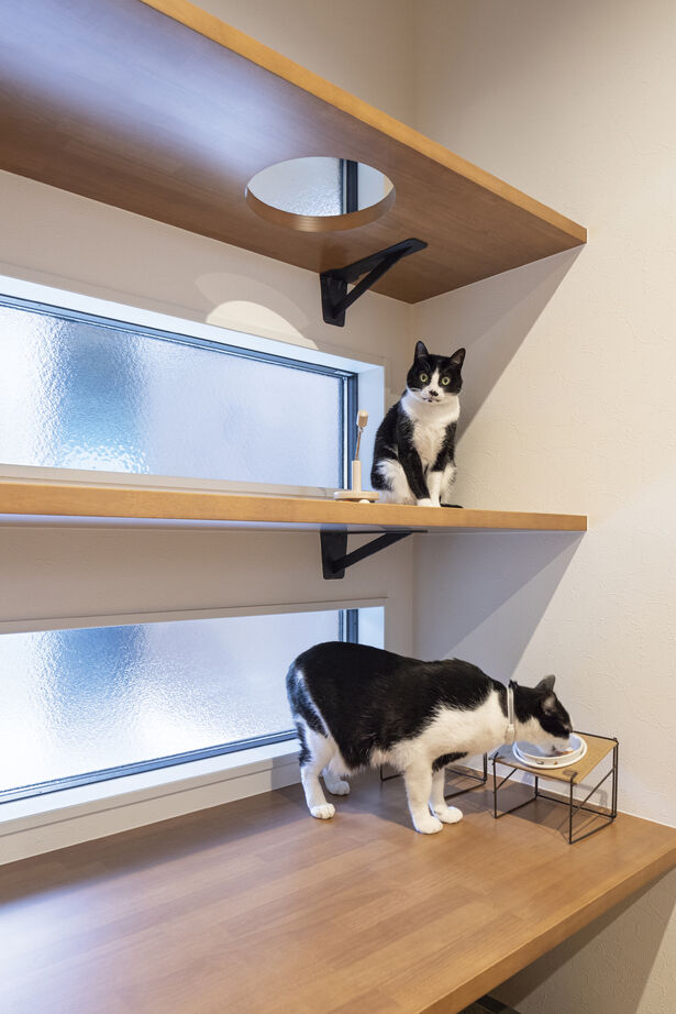 ノーブルホーム 【2500万円～/吹き抜け/ダウンフロア/ペットと暮らす/省エネ】愛猫と暮らす1.5階平屋の建築実例画像8