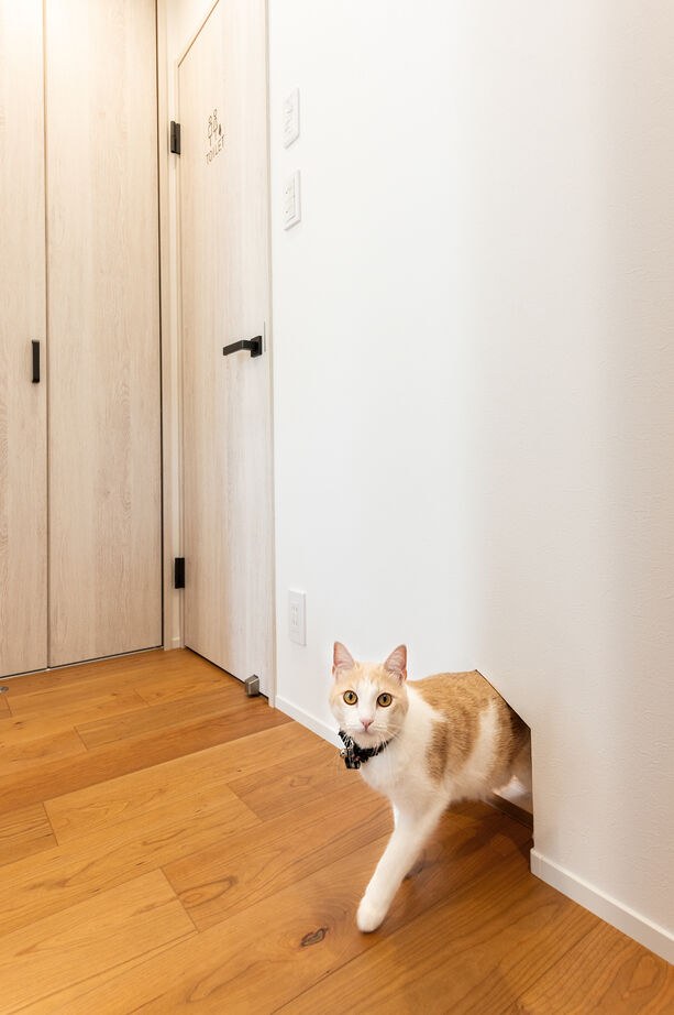 ノーブルホーム 柔軟な提案力で実現。人も猫も快適に過ごす平屋＋αの家の建築実例画像7