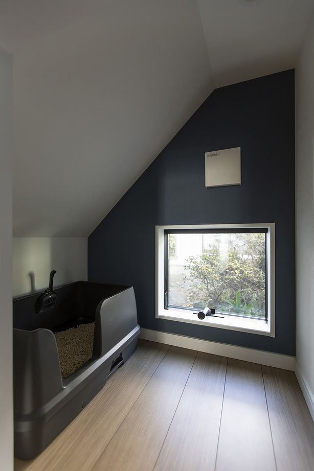 齋藤住建 【足利市/1900万円/間取り図有】施主に寄り添い理想を叶える。子どもも猫も…家族みんなが暮らしやすい平屋の建築実例画像9