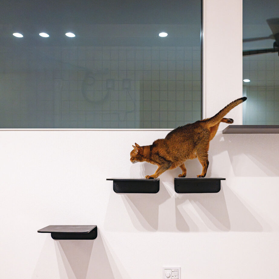 一級建築士事務所　ライフスタイル(LIFE STYLE) 【ガレージ/キャットウォーク/スキップフロア】立体感のあるガレージハウスの建築実例画像5