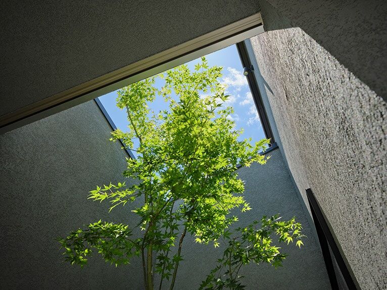 住友林業 四季折々の表情を楽しむ中庭のある平屋の建築実例画像4