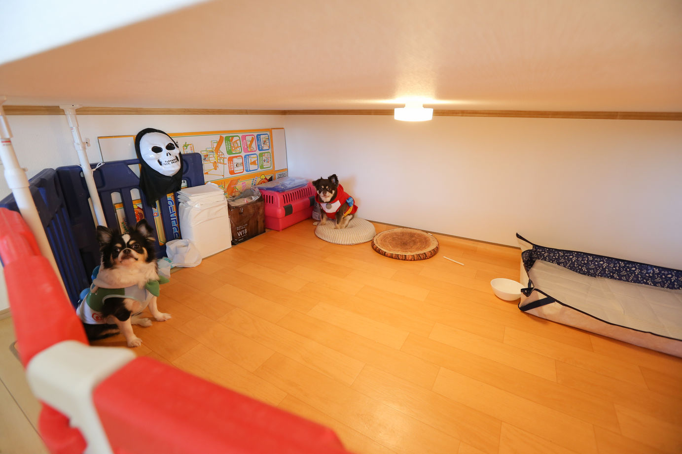 アイダ設計 【二世帯分離型/間取り図有/家事ラク動線】子どもとペットのことを考えたオール電化の二世帯住宅の建築実例画像18