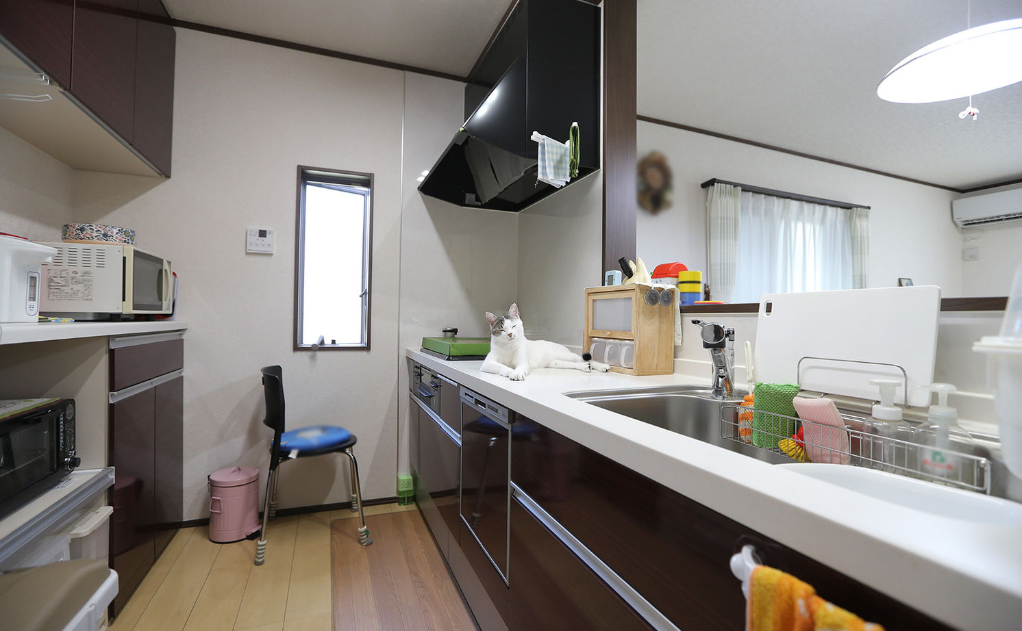 アイダ設計 【間取り図有/30坪台/ペットと暮らす/収納充実】ペットと家族が快適に過ごせる工夫が満載の家の建築実例画像4