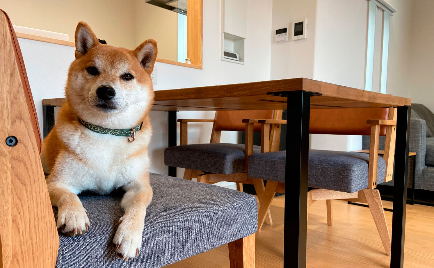 ハウスジャパンの建築実例画像