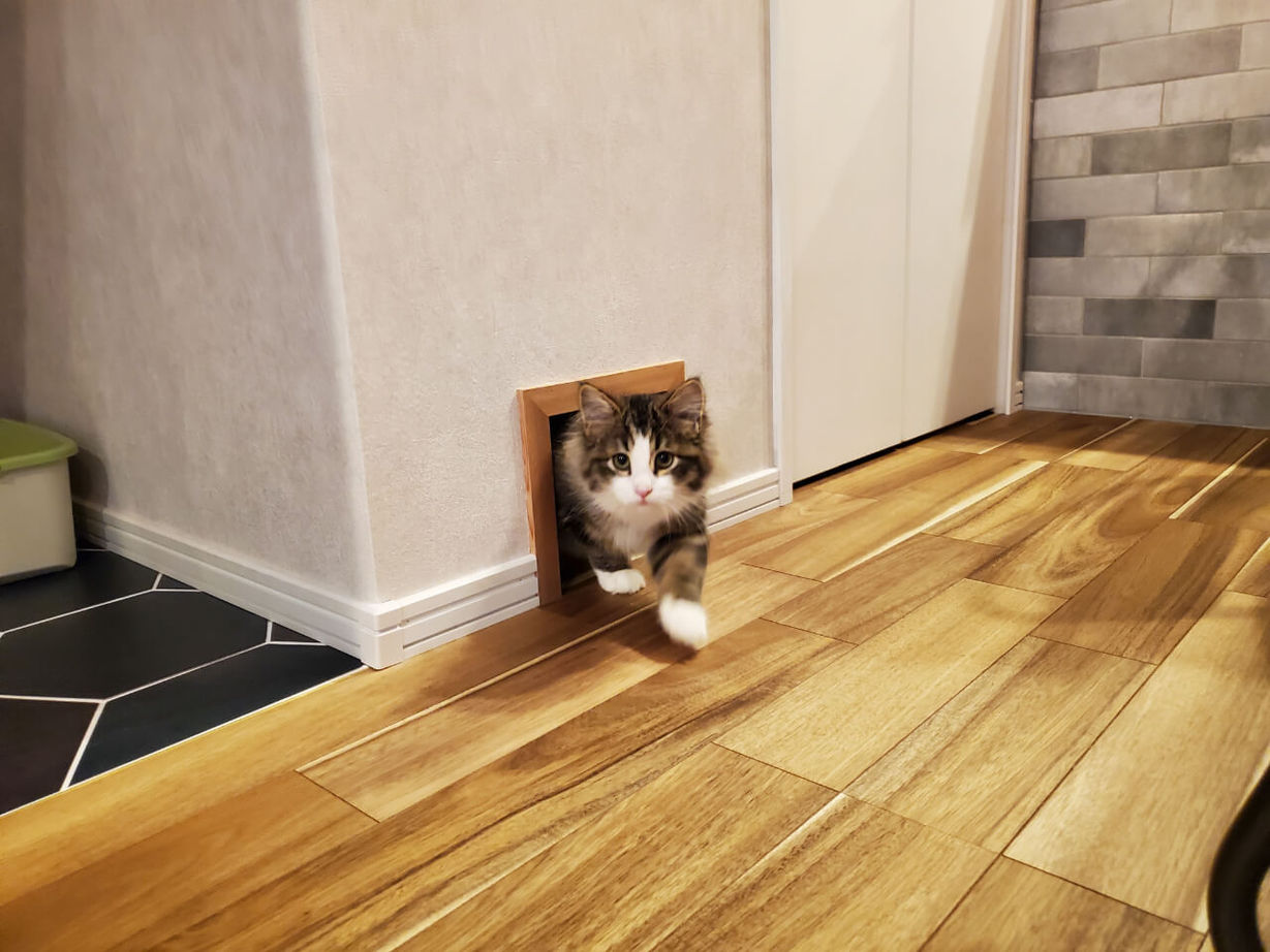 カネトシ工務店 【札幌市/2000万円台/ペットとの暮らし/間取り図有】ヴィンテージ調のインテリアが映える,土間収納のある家の建築実例画像4