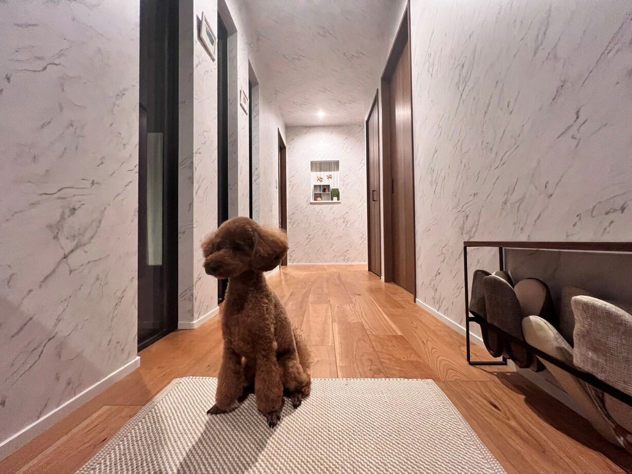 一級建築士事務所 JTM商事 【君津市／中庭／ペット／ドッグラン／平屋】重厚なアイアン門扉の奥に広がる愛犬思いのやさしい平屋の建築実例画像8