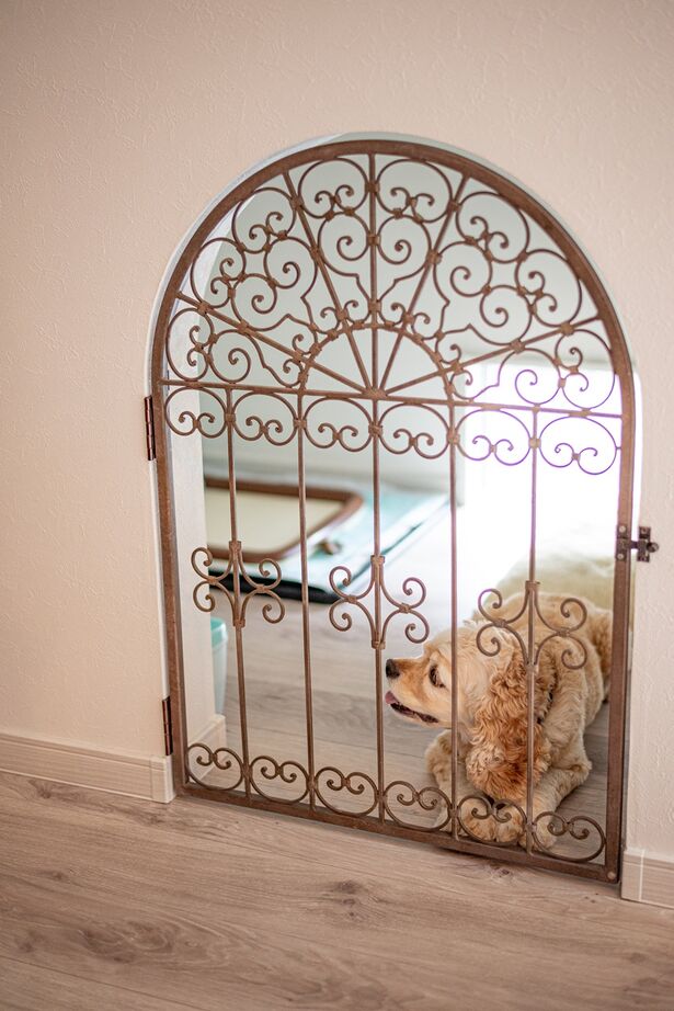 サンクスホーム 【2000万円台×平屋｜間取り図有】大切な愛犬と共に、居心地のいいリビングで団らんを楽しむ家の建築実例画像6