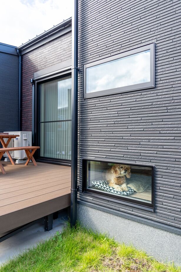 サンクスホーム 【2000万円台×平屋｜間取り図有】大切な愛犬と共に、居心地のいいリビングで団らんを楽しむ家の建築実例画像10