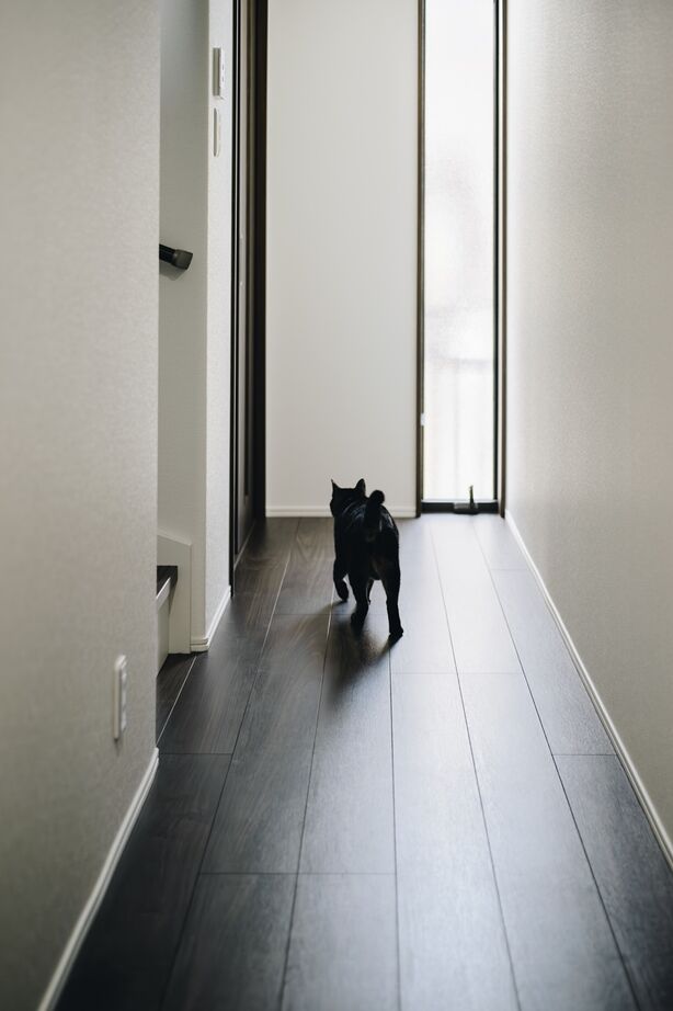 サンクスホーム 【2000万円台×ペット｜間取り図有】25帖を超える広々リビングが自慢。趣味を思う存分楽しめる住まいの建築実例画像7